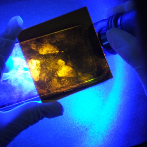 FUENTES DE LUZ FORENSE Y REVELADO DE HUELLAS