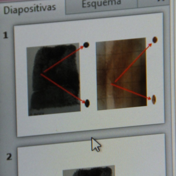 COTEJOS