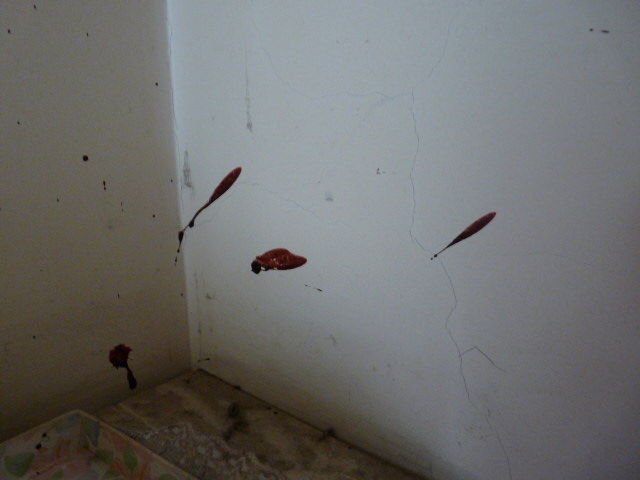 TRAYECTORIA DE SANGRE